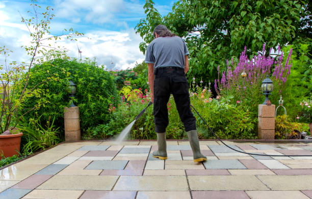Best Driveway Pressure Washing  in Elba, AL